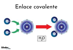 Enlace covalente