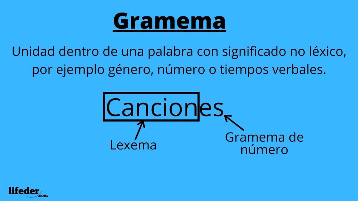 Gramema definición, tipos y ejemplos