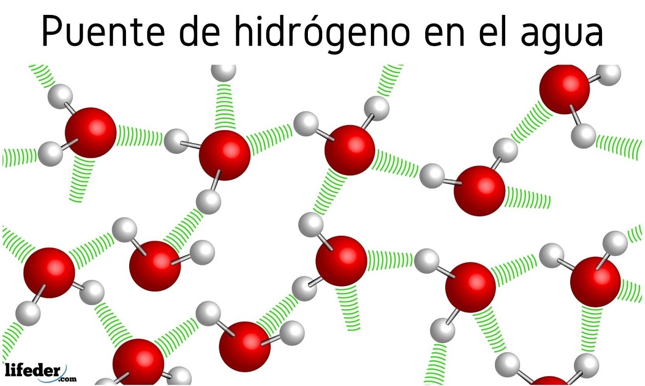 Enlace por puente de hidrógeno características, ejemplos Enlace por puente de hidrógeno características, ejemplos
