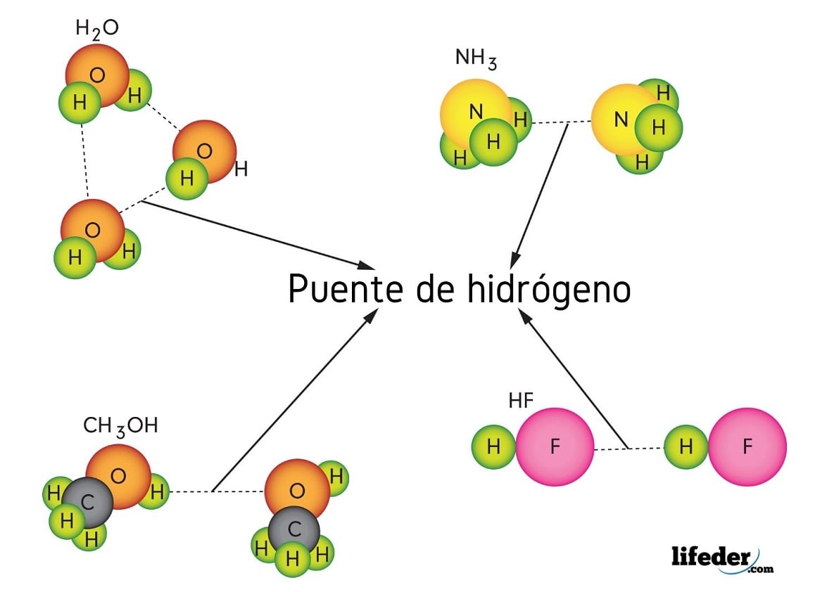 Enlace Por Puente De Hidrógeno Características Ejemplos