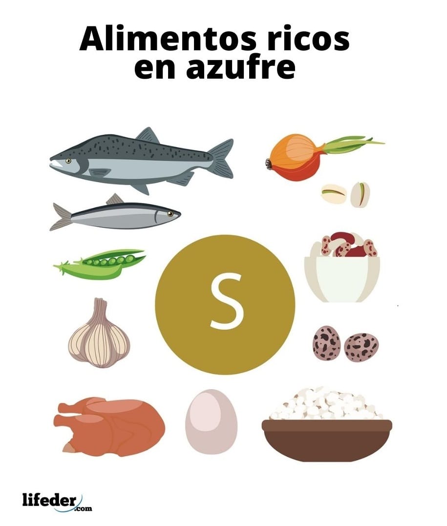 24 Alimentos Ricos en Azufre Buenos para tu Salud