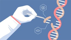 ¿Cómo se modifica de manera artificial el ADN de un organismo en un sistema de laboratorio?