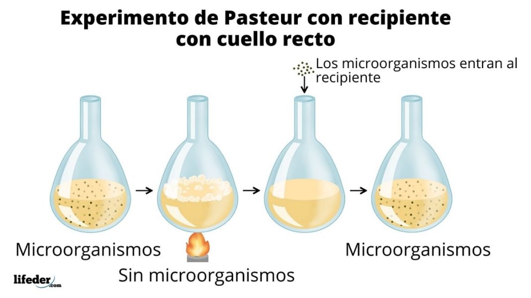Generación espontánea: historia, propuestas, experimentos