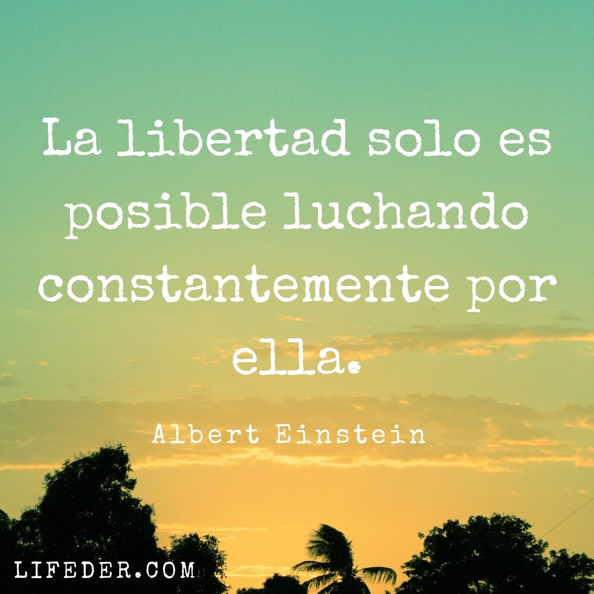 100 Frases De Libertad Y Su Valor En La Vida Cortas | Hot Sex Picture