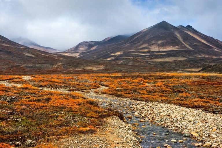 Biomas De Mexico Apunte Biomas De Mexico La Tundra Alpina The Best