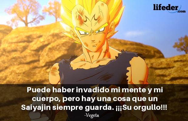 Las 67 Mejores Frases De Dragon Ball Lifeder