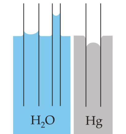 Fuerzas de cohesión