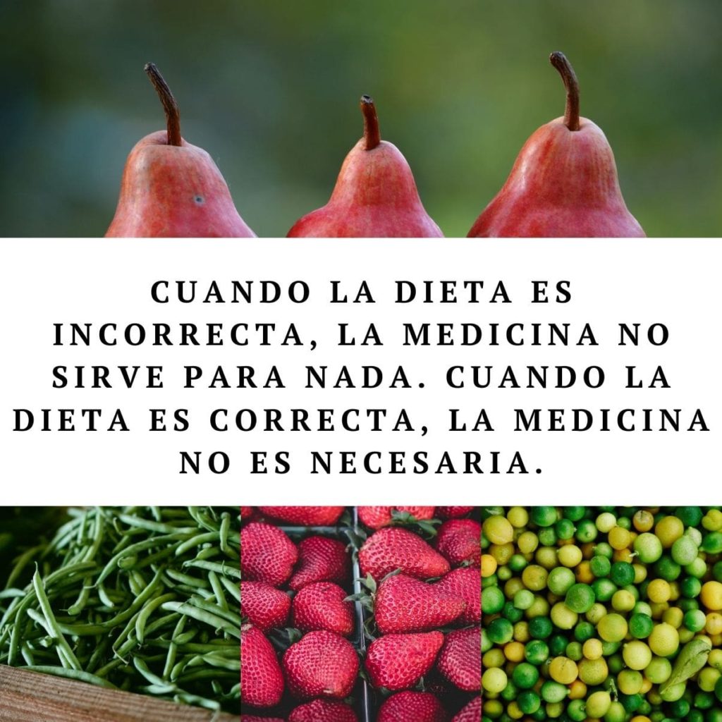 90+ Frases de Nutrición y Alimentación Saludable