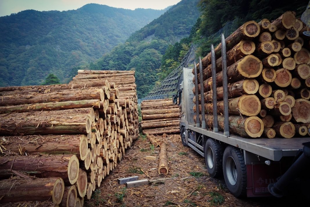Industria básica concepto, características, tipos y ejemplos