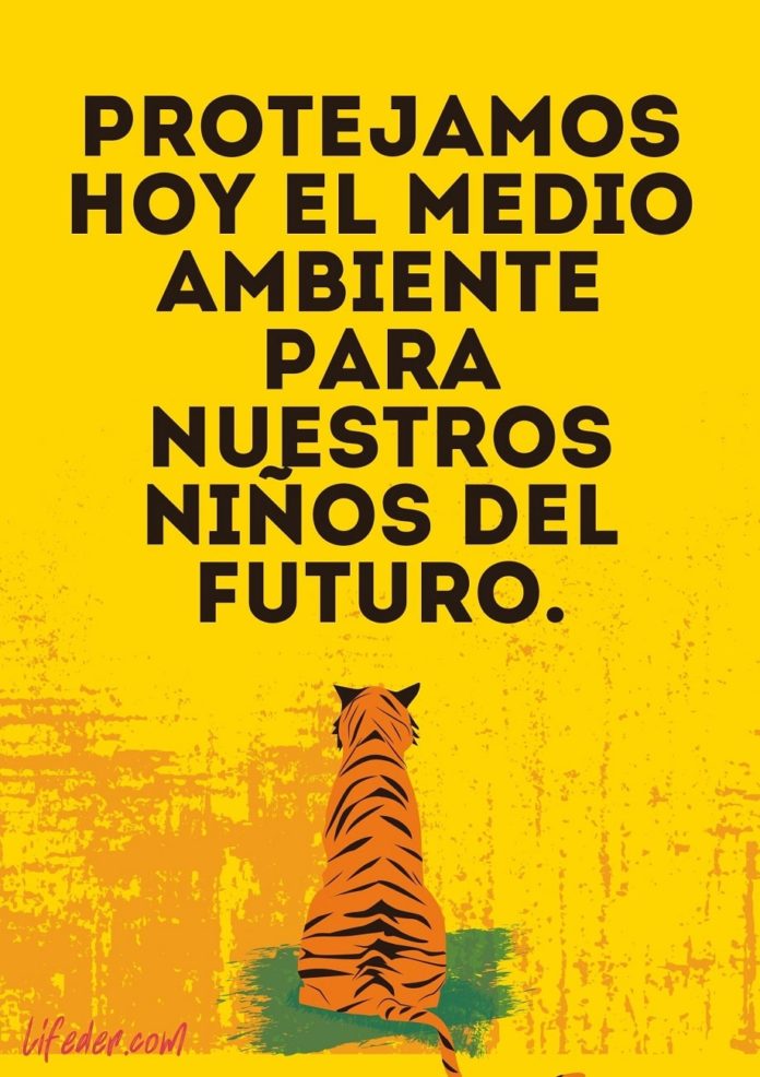 100 Frases para Cuidar el Medio Ambiente y la Naturaleza (Cortas)