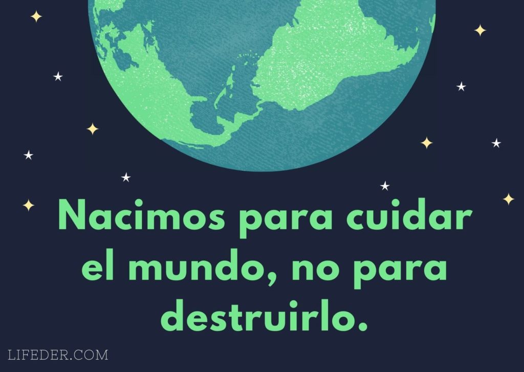 100 Frases para Cuidar el Medio Ambiente y la Naturaleza (Cortas)