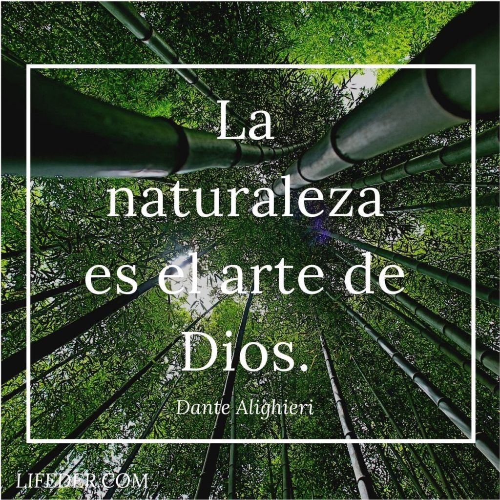 100+ Frases de la Naturaleza para Cuidarla y Conservarla (cortas) 100+ Frases de la Naturaleza para Cuidarla y Conservarla (cortas)
