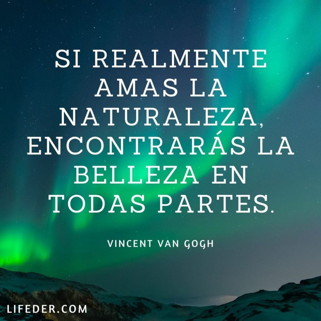 100+ Frases de la Naturaleza para Cuidarla y Conservarla (cortas)