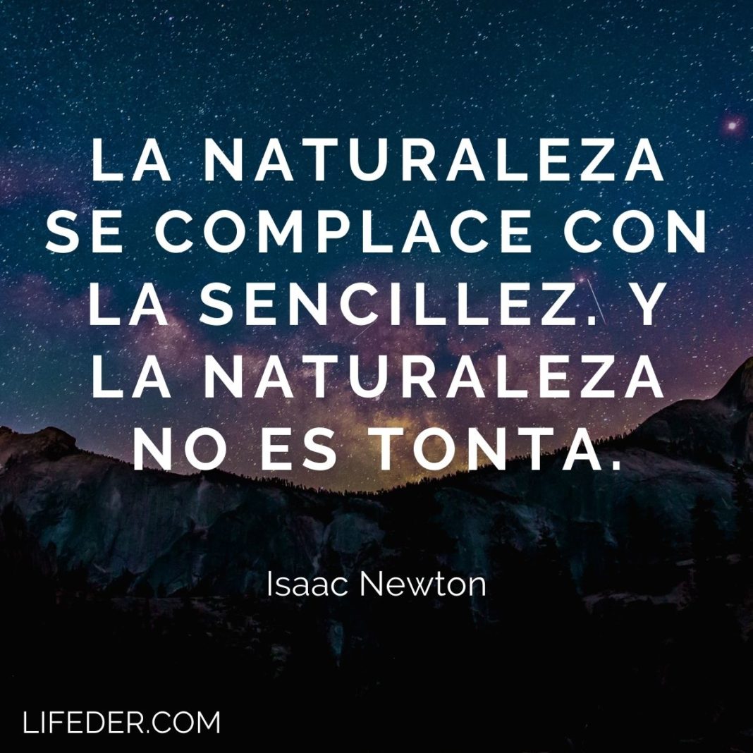 100+ Frases de la Naturaleza para Cuidarla y Conservarla (cortas)