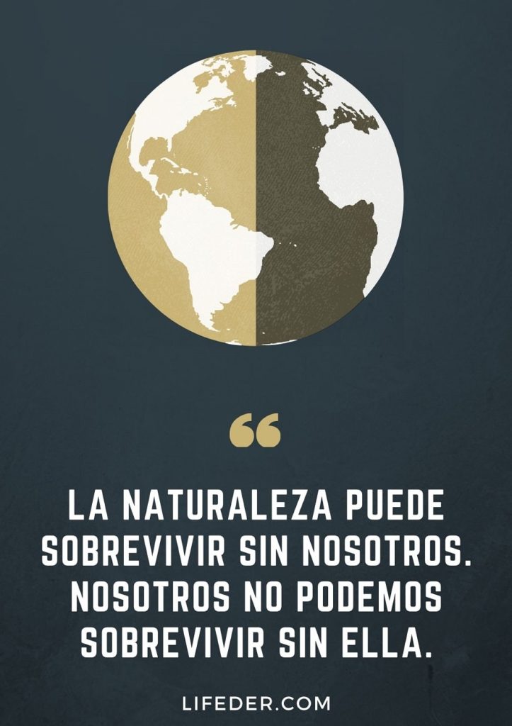 100 Frases para Cuidar el Medio Ambiente y la Naturaleza (Cortas)