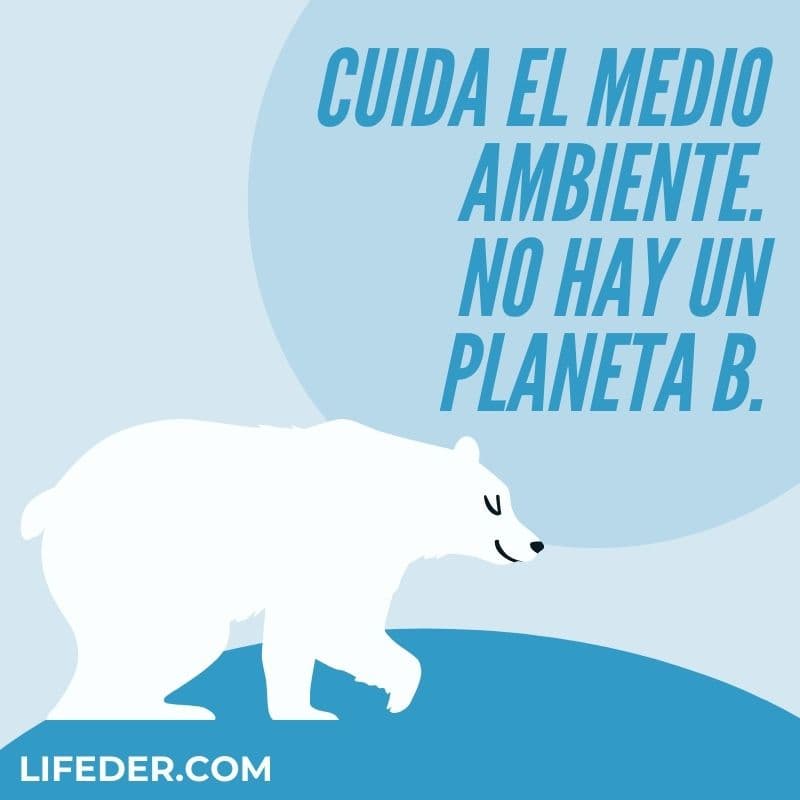 100 Frases para Cuidar el Medio Ambiente y la Naturaleza (Cortas)