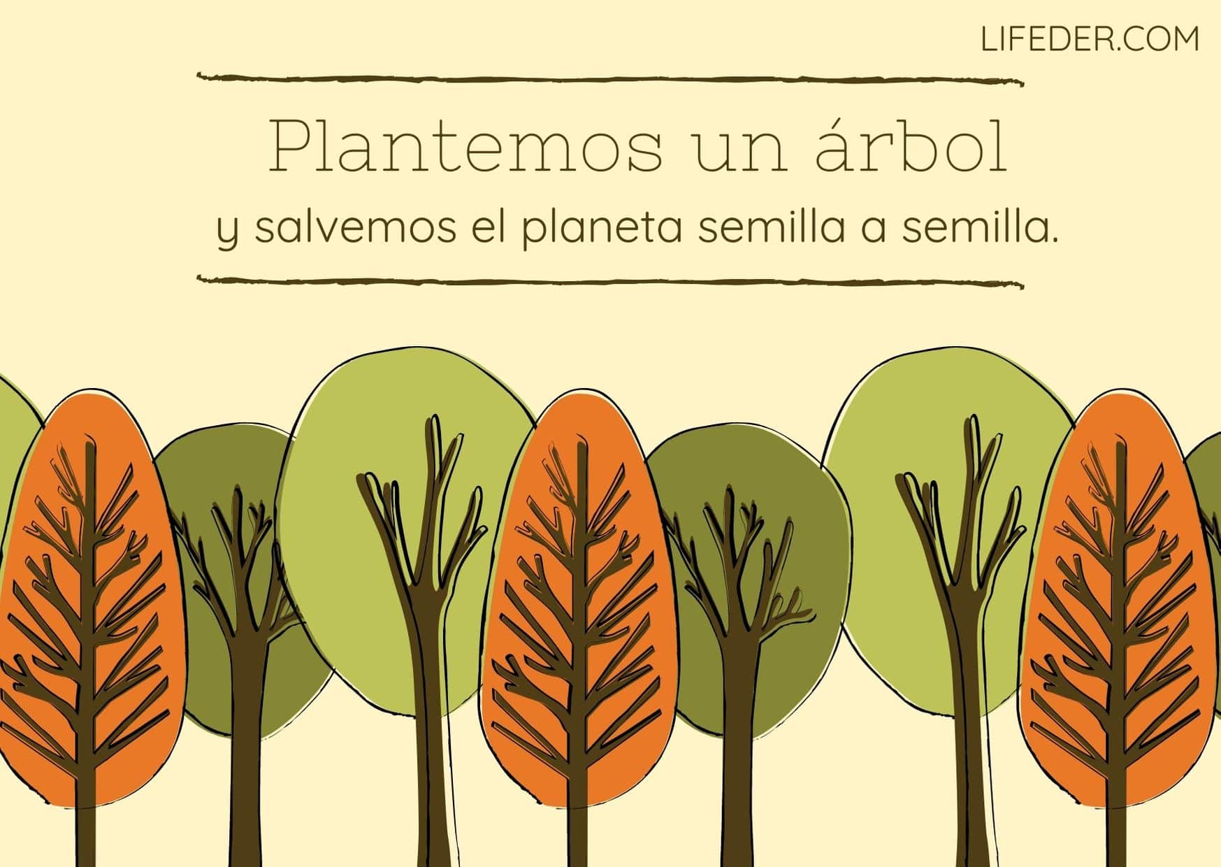 100 Frases para Cuidar el Medio Ambiente y la Naturaleza (Cortas)