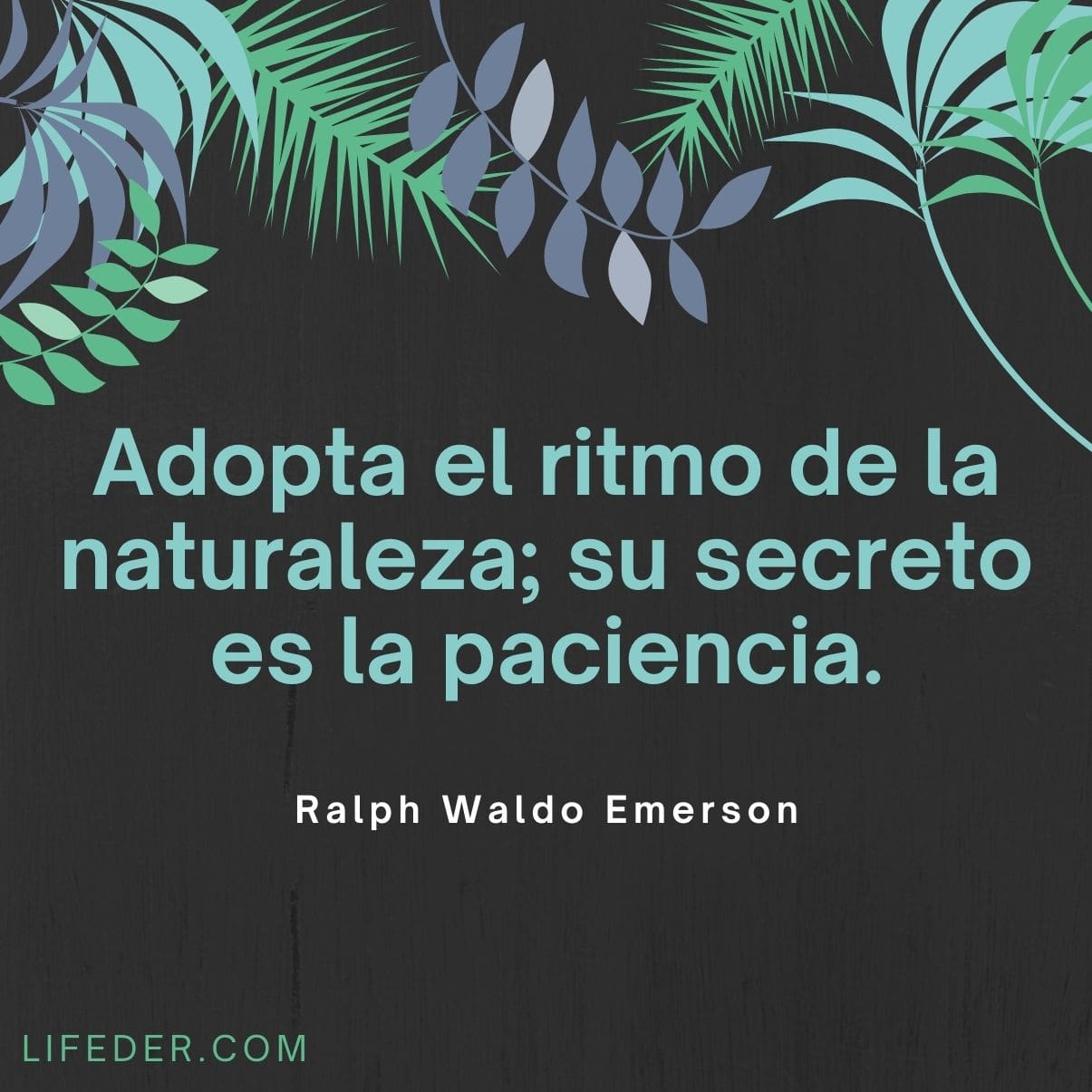 100+ Frases de la Naturaleza para Cuidarla y Conservarla (cortas)