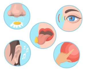 Sensación (psicología)