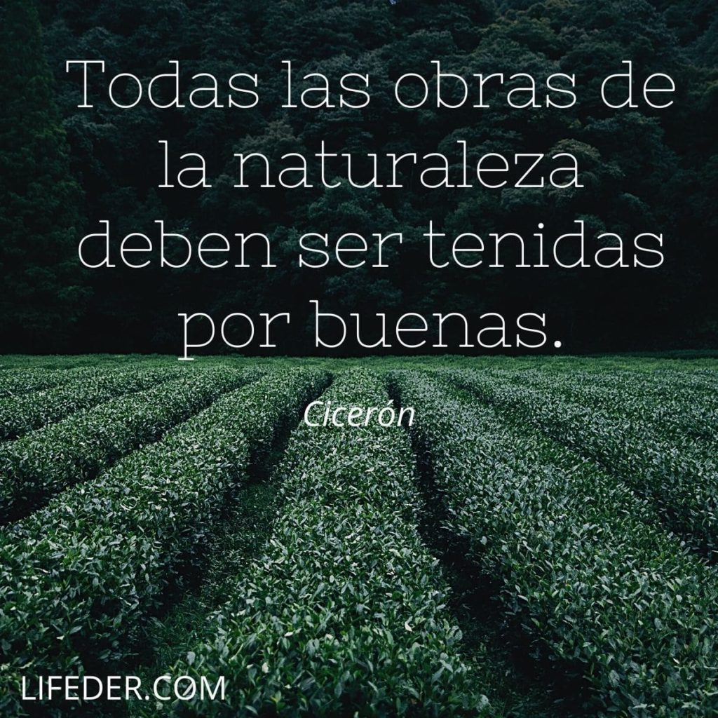 100+ Frases de la Naturaleza para Cuidarla y Conservarla (cortas)