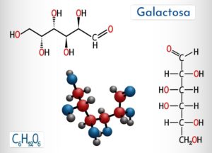 Galactosa