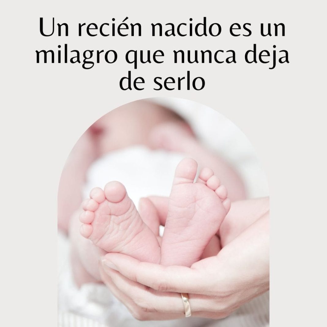 80 frases para dar la bienvenida a recién nacidos y bebés
