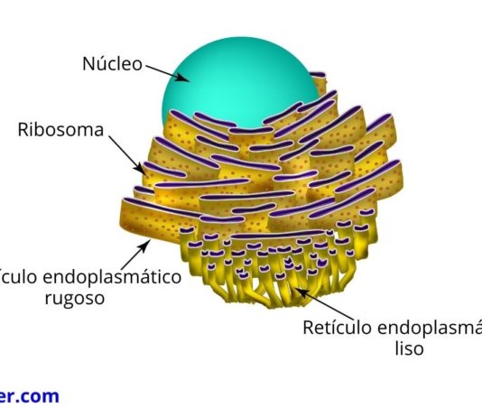 My Image 8