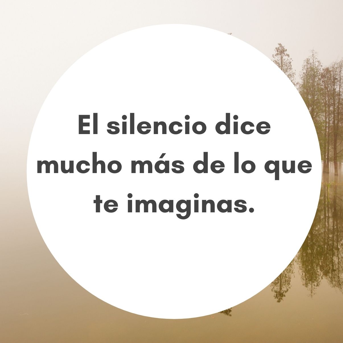 100 frases sobre el silencio en la vida y de las personas