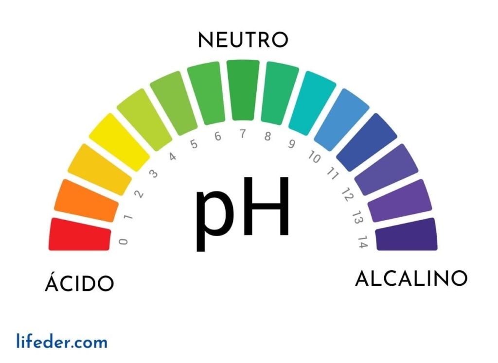 autopista oportunidad crear Indicadores de pH: qué son, tipos y cómo funcionan