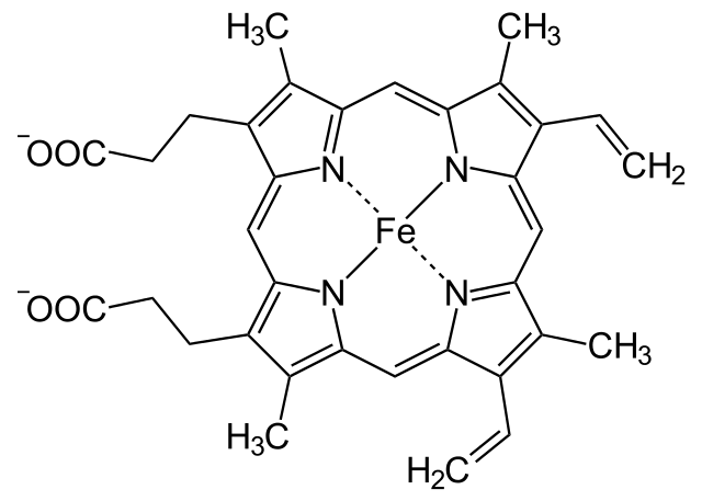 definicion de tiamina en bioquimica definicion de tiamina en bioquimica