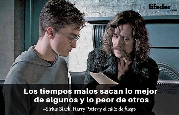 Frases de Harry Potter - 3. Cada Horrocrux es destruido por una persona  diferente. Harry destruyó el diario, Dumbledore destruyó el anillo, Ron  destruye el guardapelo, Hermione destruye la copa, Crabbe destruyó