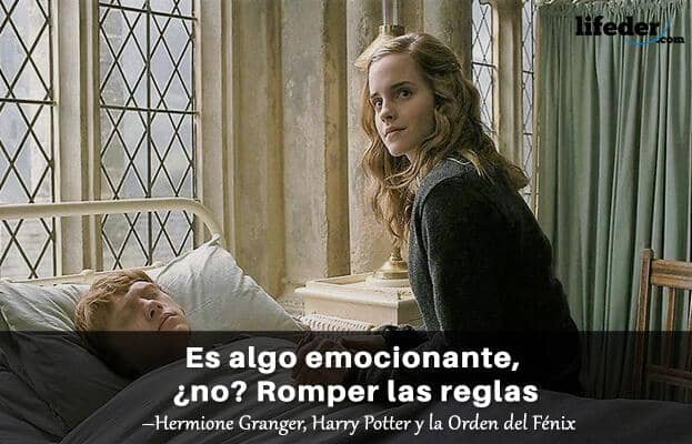 100 frases de Harry Potter sobre la vida, la magia, el amor y la amistad