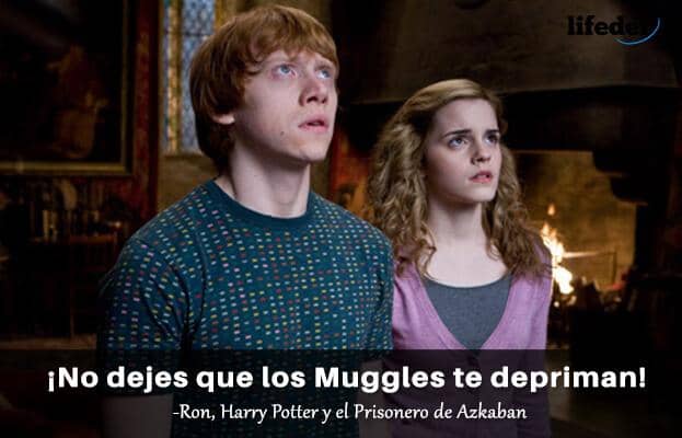 100 frases de Harry Potter sobre la vida, la magia, el amor y la amistad
