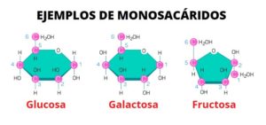 Monosacáridos