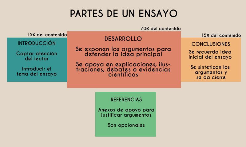 audiencia deseable Unidad Las 4 Partes de un Ensayo y sus Características (con Ejemplos)