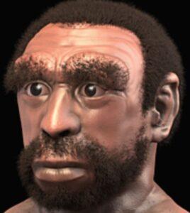 Homo heidelbergensis