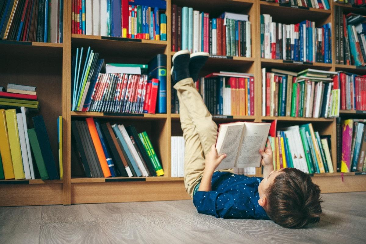 Que Es La Lectura De Recreacion