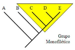 Grupo monofilético