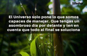 Que tengas un buen día (100 Bonitas frases)