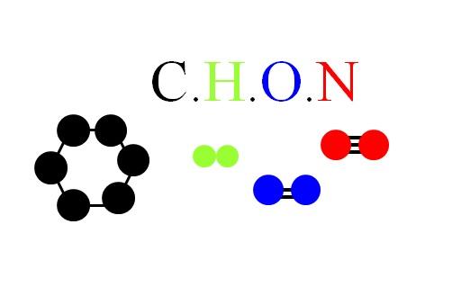 CHON: qué es, características comunes, particularidades, moléculas