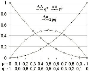 Ley de Hardy-Weinberg