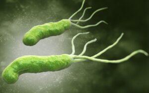 Helicobacter pylori