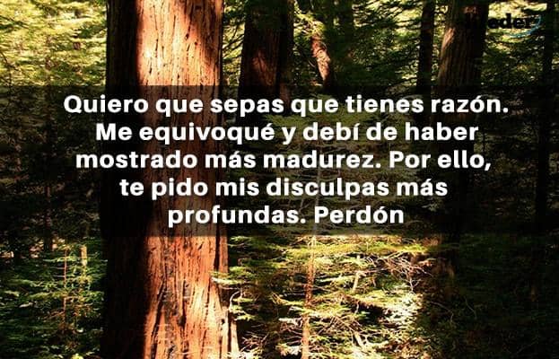 Las 72 mejores frases para pedir perdón Las 72 mejores frases para pedir perdón