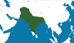Asia entre los siglos XVII y XVIII: imperios, dinastías, hechos
