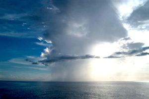 Biología marina: qué es, qué estudia, ramas