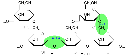 Enlace Glucosidico Caracteristicas Tipos Y Nomenclatura