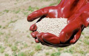 Nitrato de calcio (Ca(NO3)2)