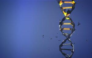 Agentes mutagénicos