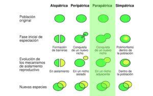 Especiación parapátrica