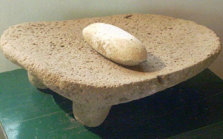 Economía zapoteca: principales actividades económicas